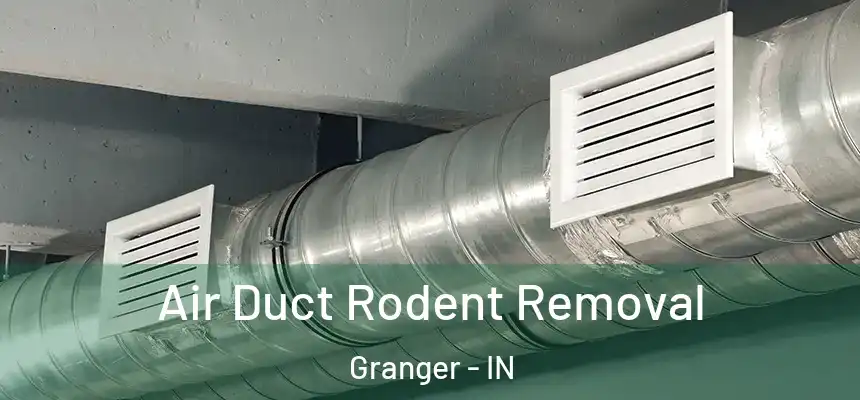 Air Duct Rodent Removal Granger - IN