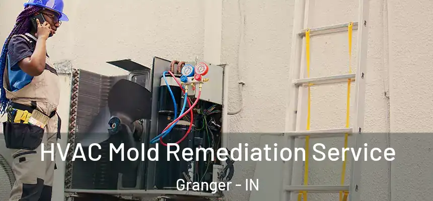 HVAC Mold Remediation Service Granger - IN