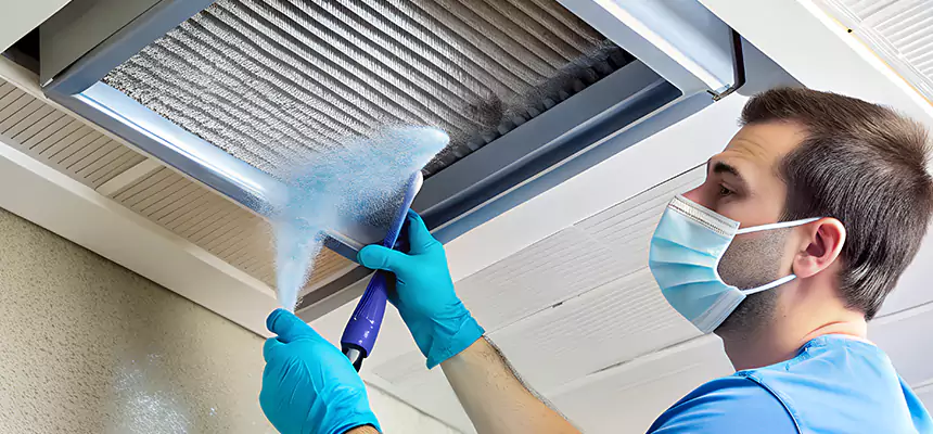 Proactive Dryer Vent & Auxiliary Duct Pollen Cleanup in Granger, IN