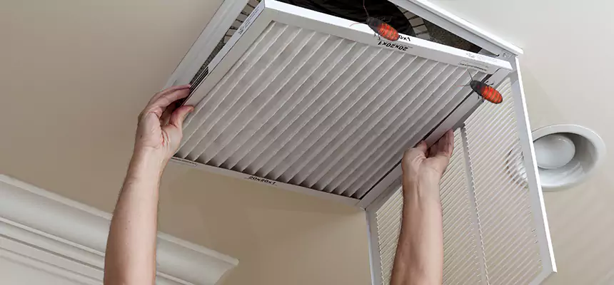 Our Insect Removal from Air Ducts Services in Granger, IN