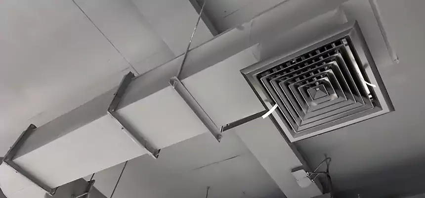 Our Pest Removal From Ducts Services in Granger, IN