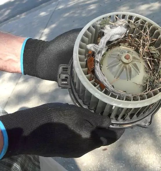 About Air Duct Rat Removal in Granger, IN