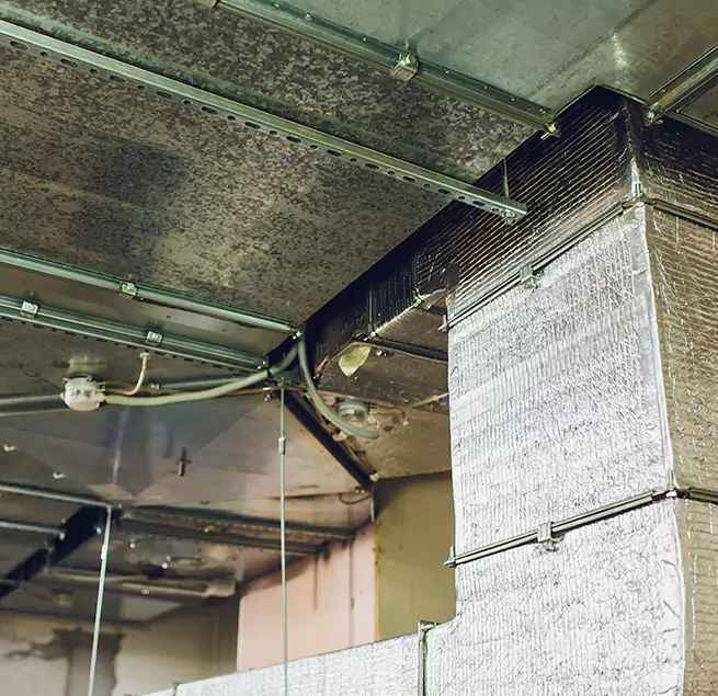 Why Homeowners & Businesses Trust Us in Granger, IN?